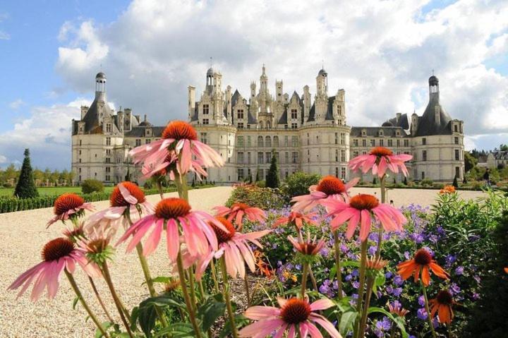 Appartement La Coupole Tours Exteriér fotografie